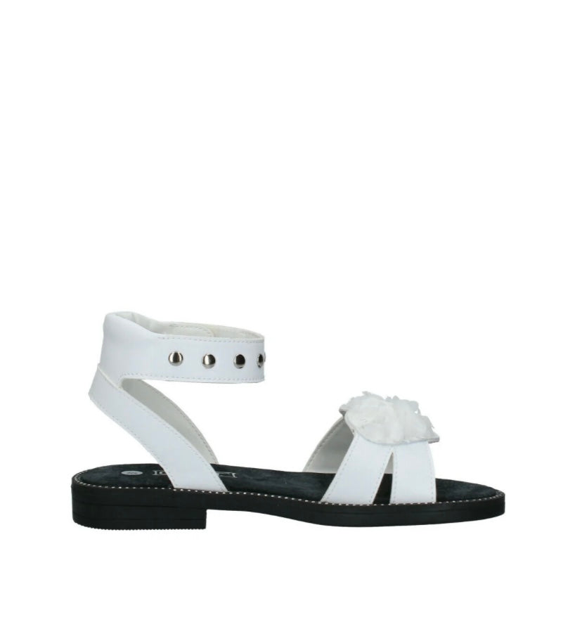 CLJ00400200 Cult