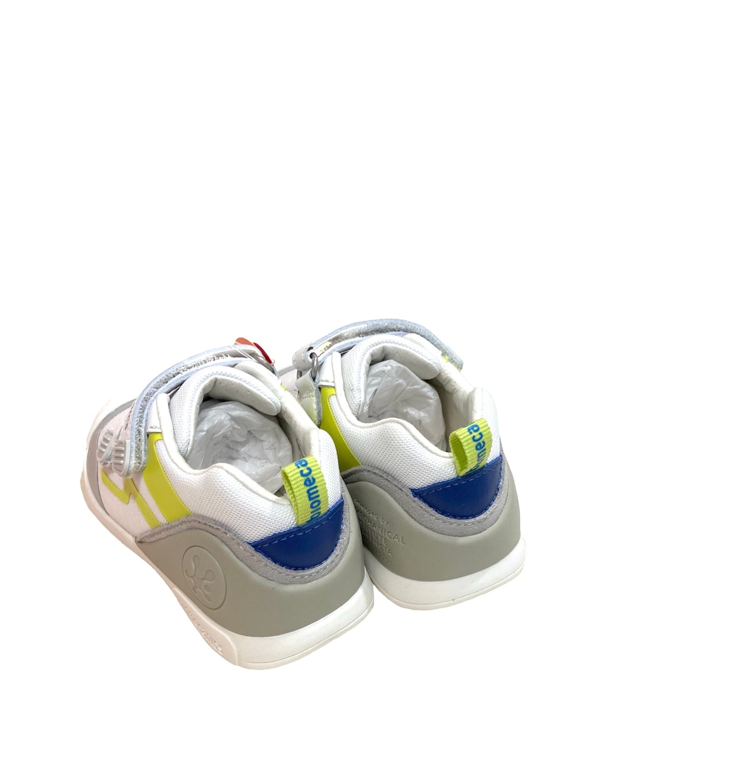 242152-B Biomecanics
