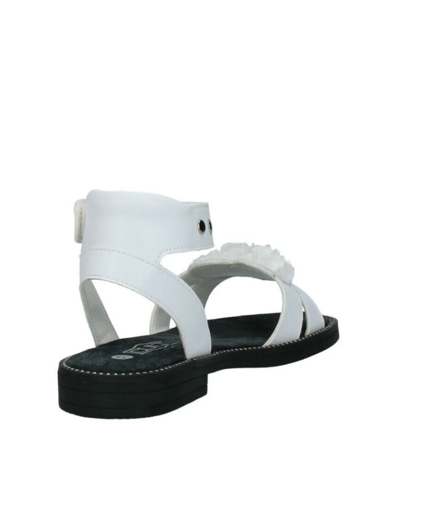 CLJ00400200 Cult
