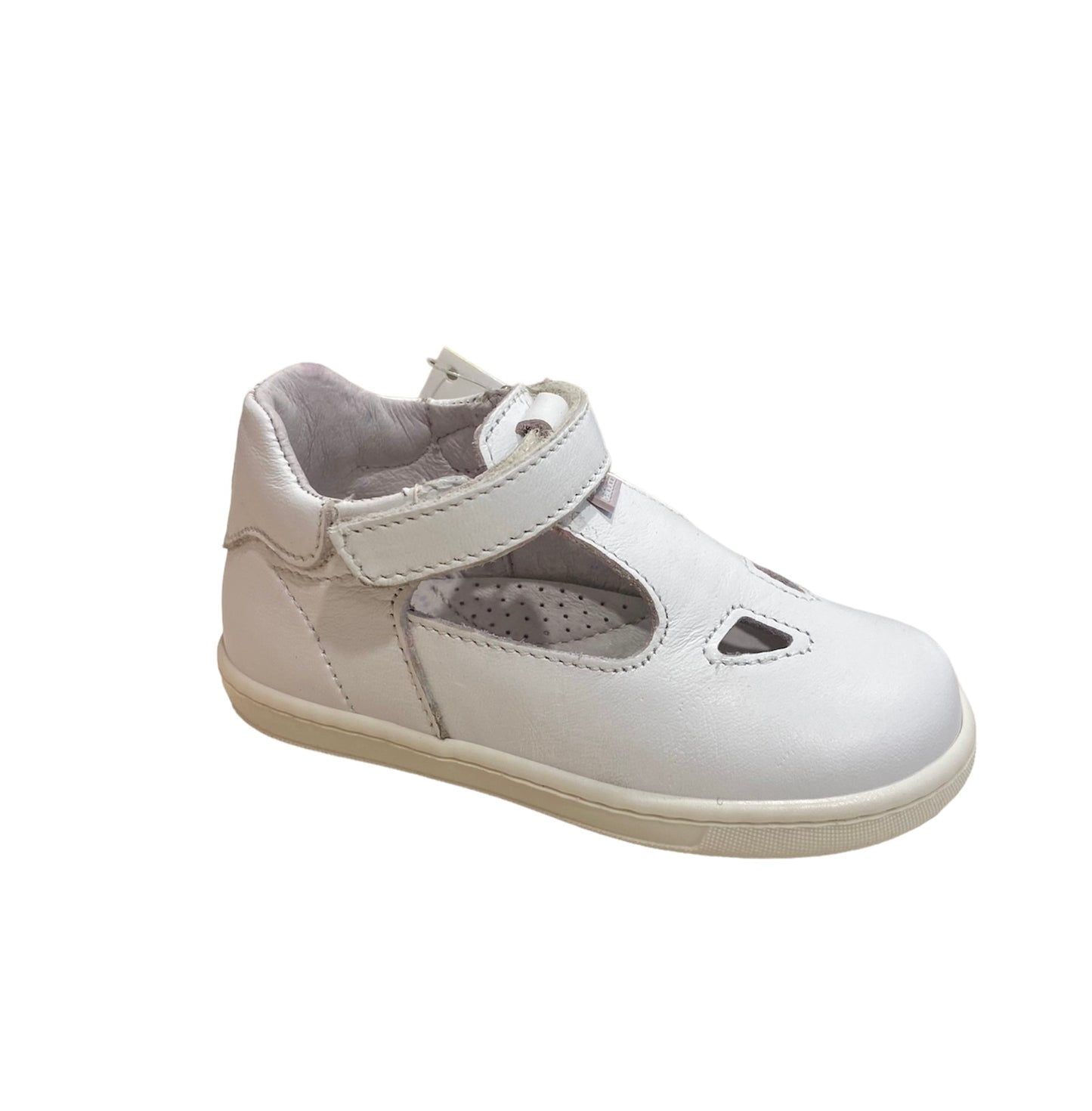 Cita1006 Balducci