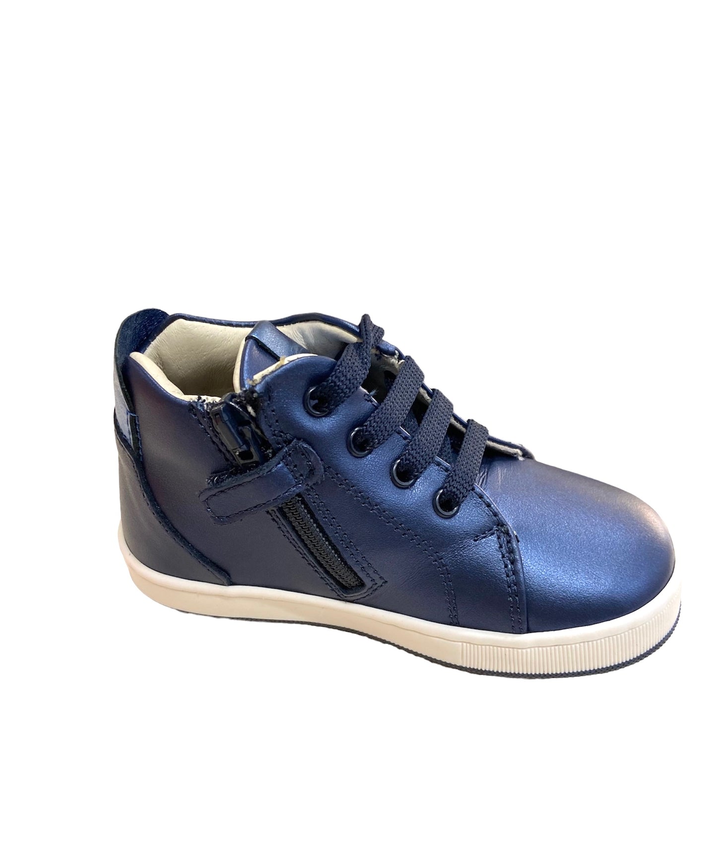 Cita 5664 Balducci