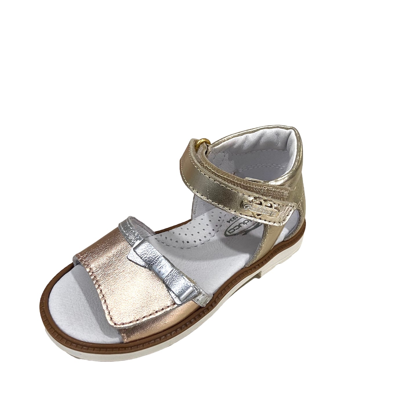 CITA2409 Balducci