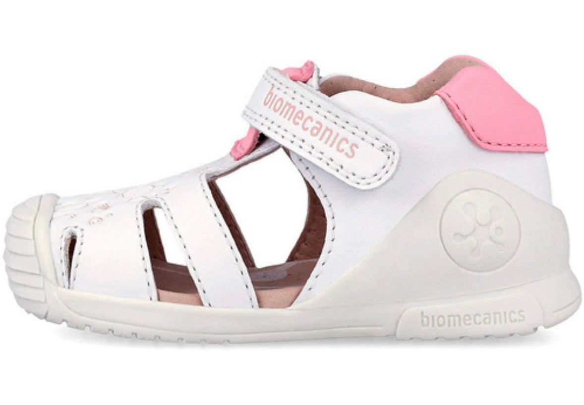 262105C Biomecanics