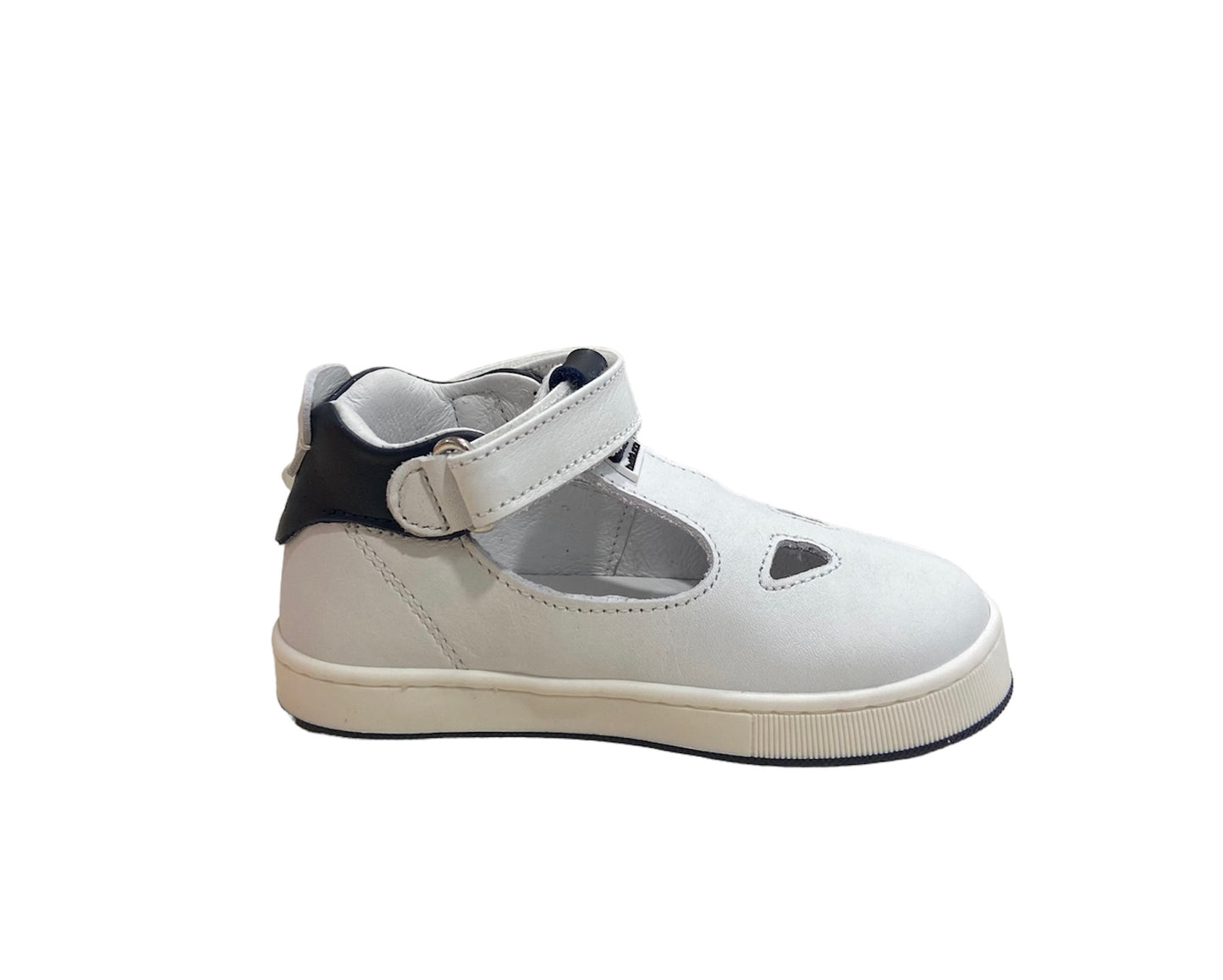 Cita 5832B Balducci