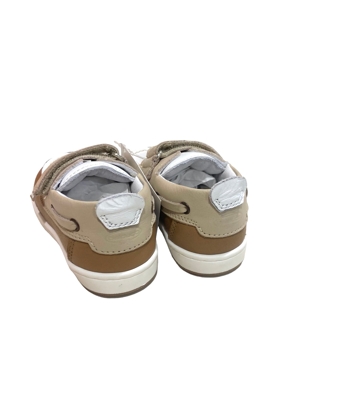 Cita6357B Balducci