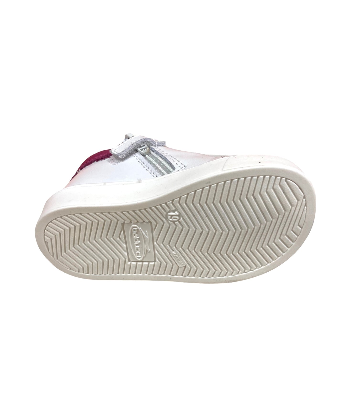 Csp5704 F Balducci