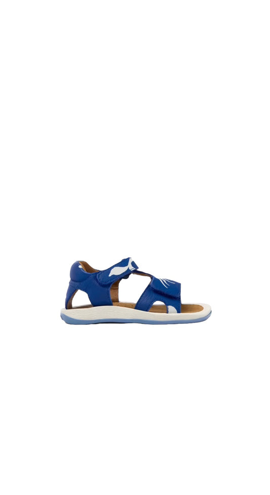 K800580-001 Camper
