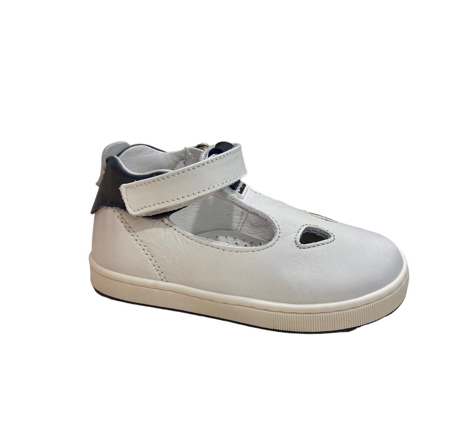 Cita 5832B Balducci