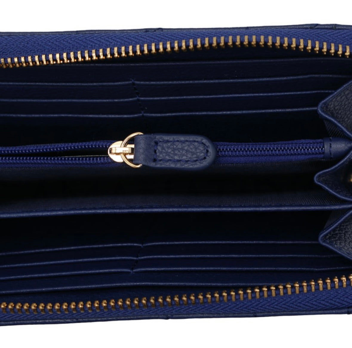 D45k3C blueberry Geox