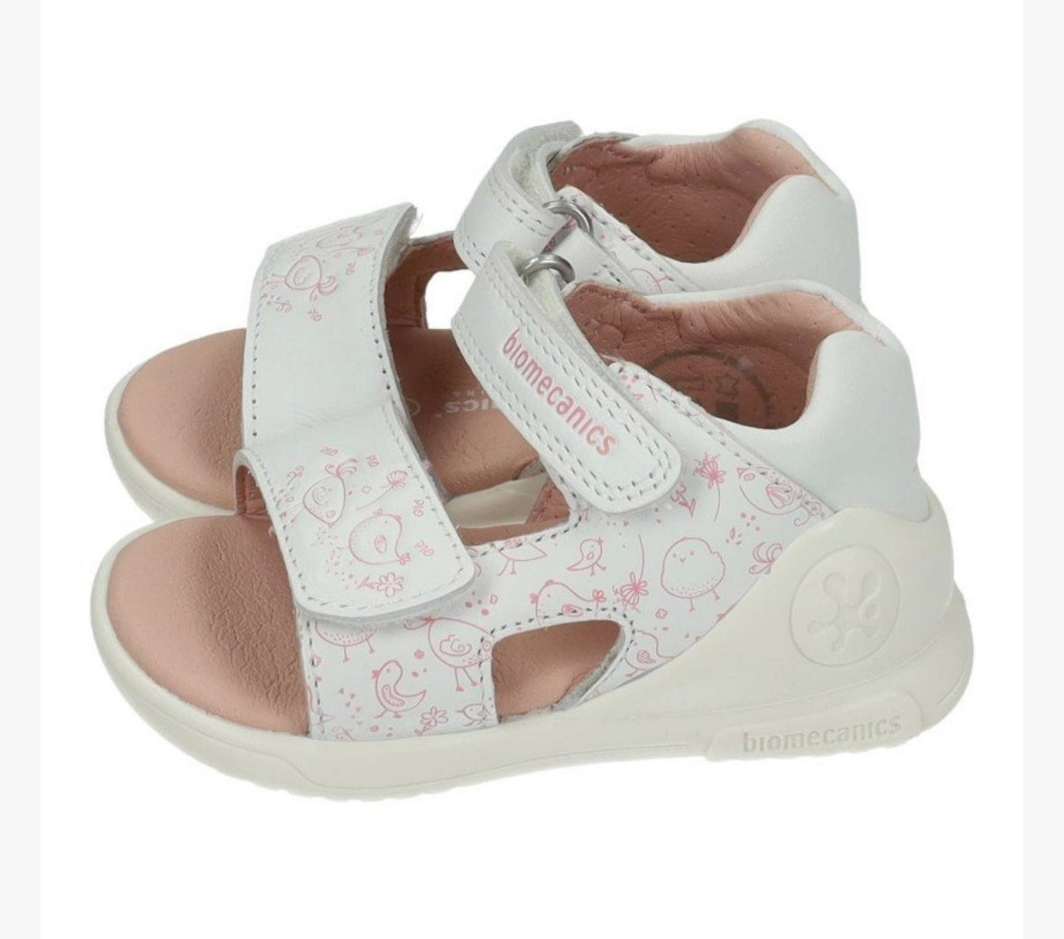 252143-B050 Biomecanics