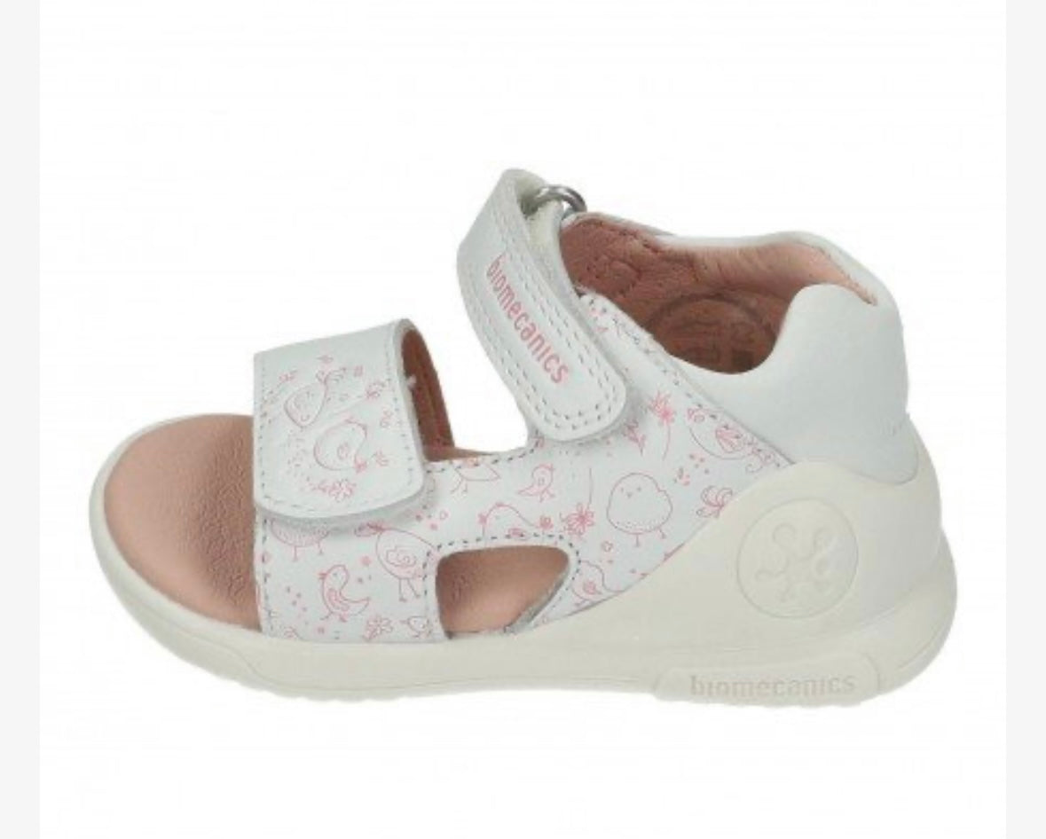 252143-B050 Biomecanics