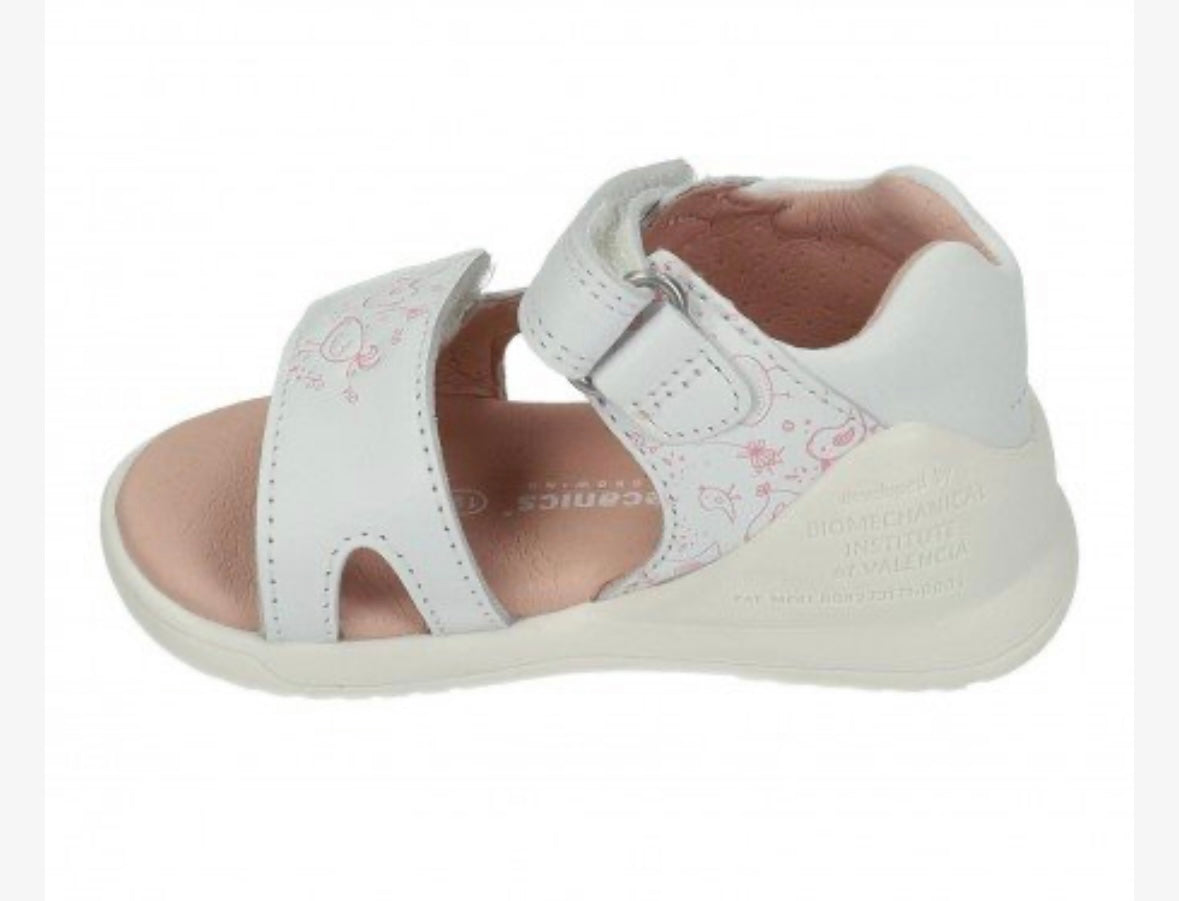 252143-B050 Biomecanics