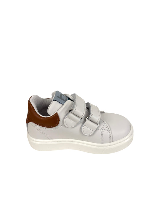 Cita6821 Balducci