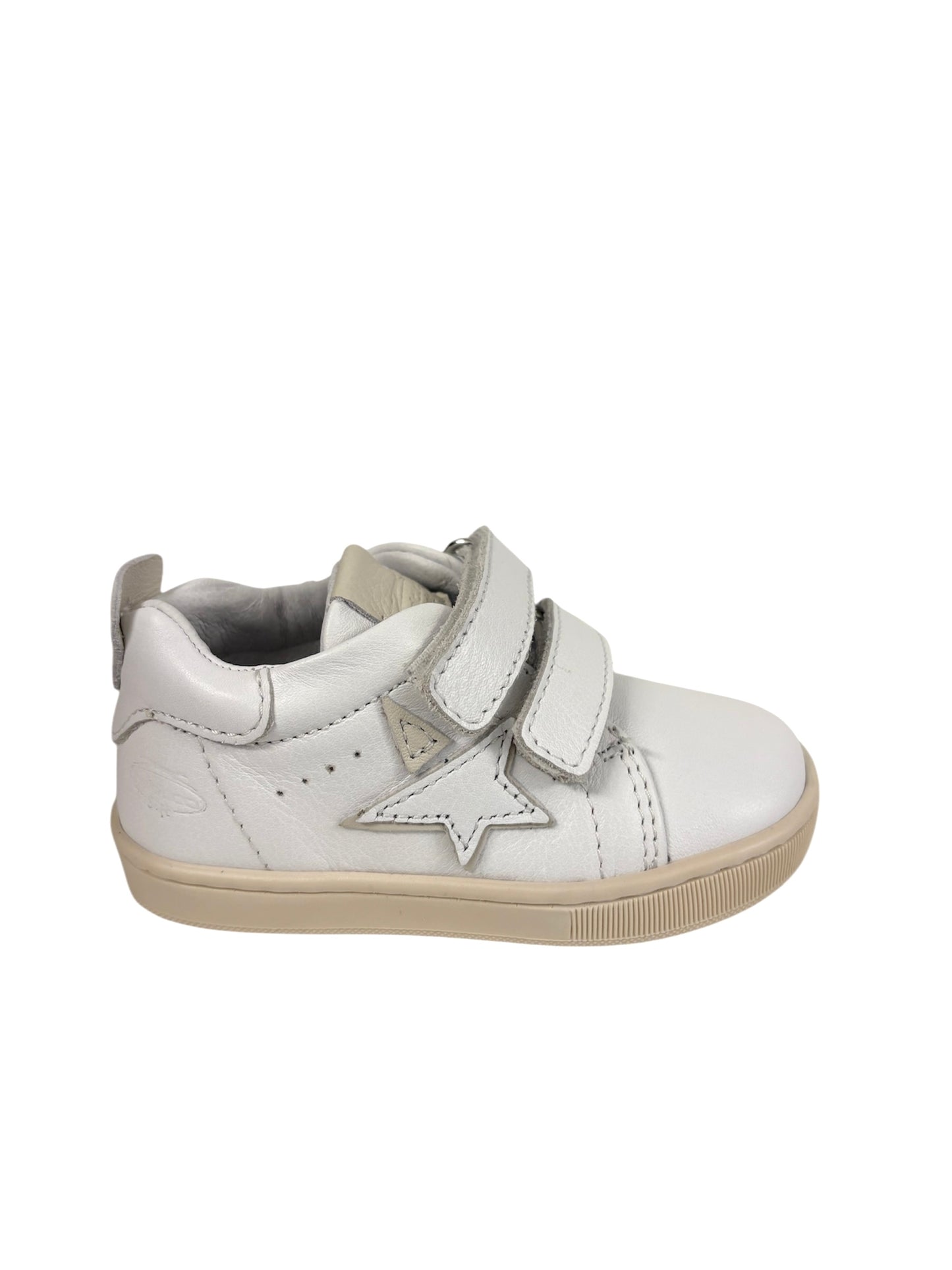 Cita6753 Balducci