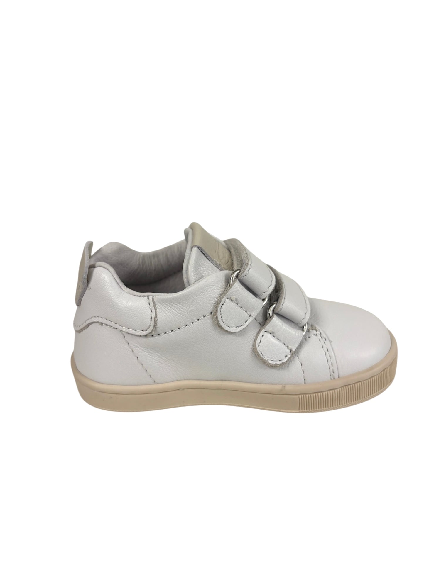 Cita6753 Balducci