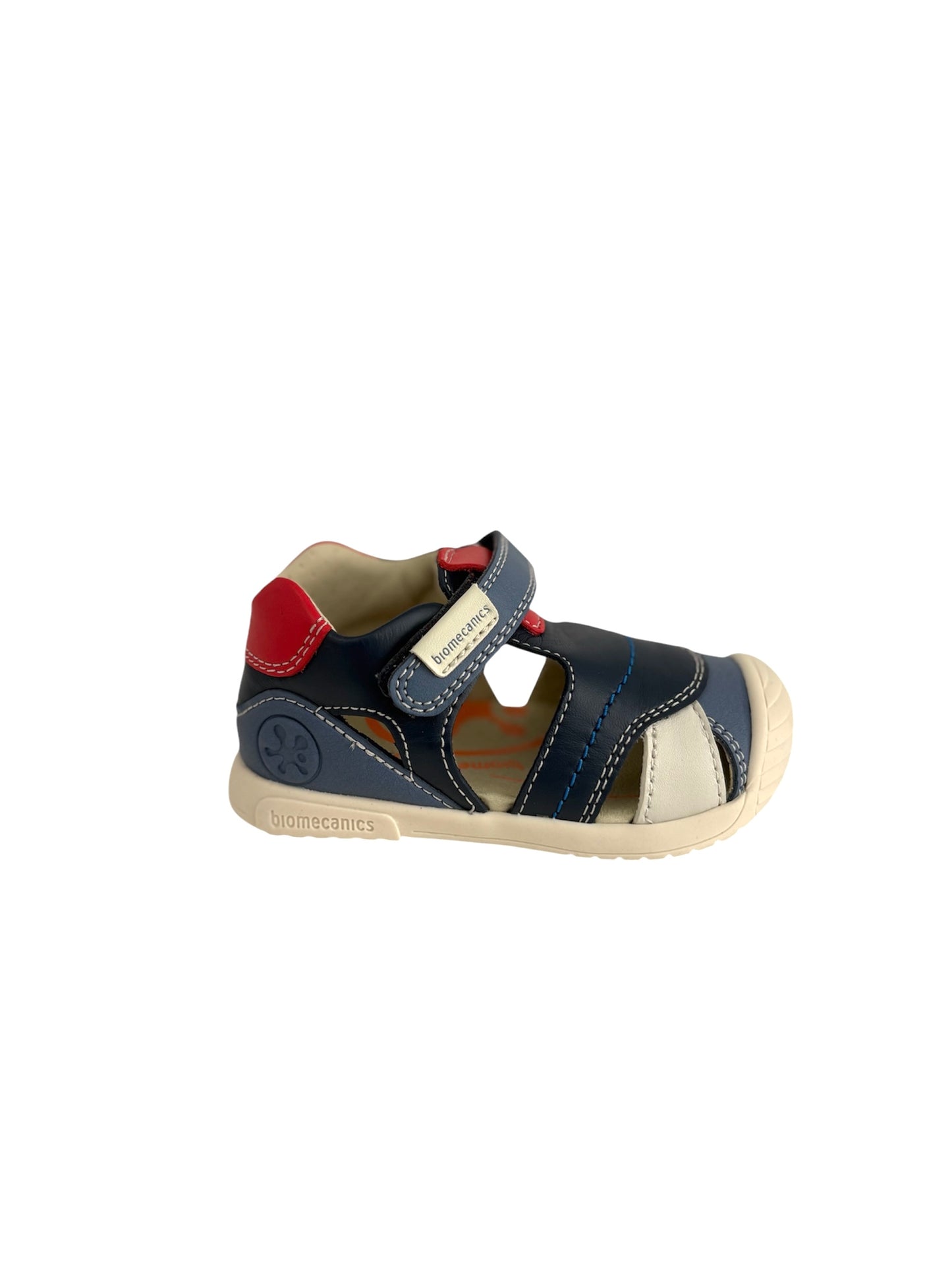 252126-A556 Biomecanics